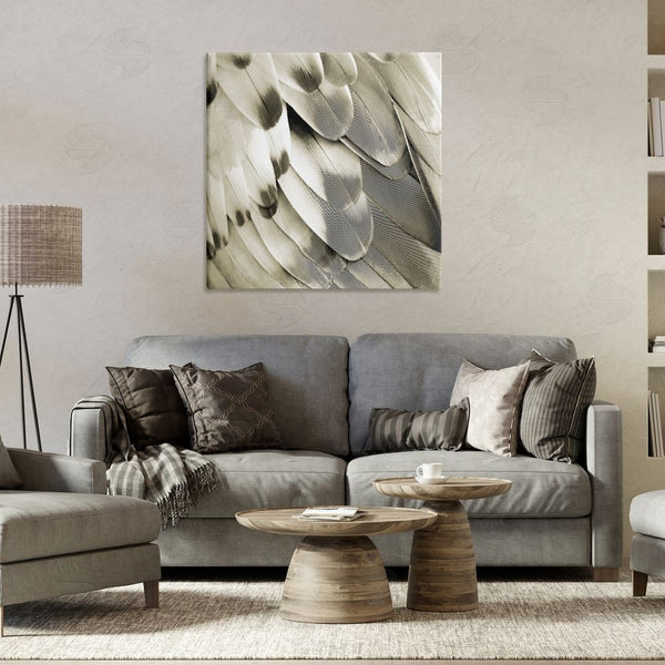 Stupell Industries Julia Bosco | Sleek Wing Feathers Wall Art