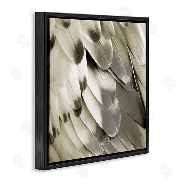 Stupell Industries Julia Bosco | Sleek Wing Feathers Wall Art