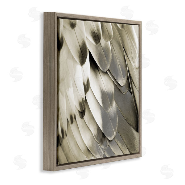 Stupell Industries Julia Bosco | Sleek Wing Feathers Wall Art
