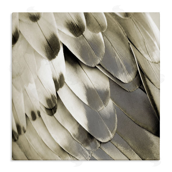 stupell industries Julia Bosco | Sleek Wing Feathers Wall Art