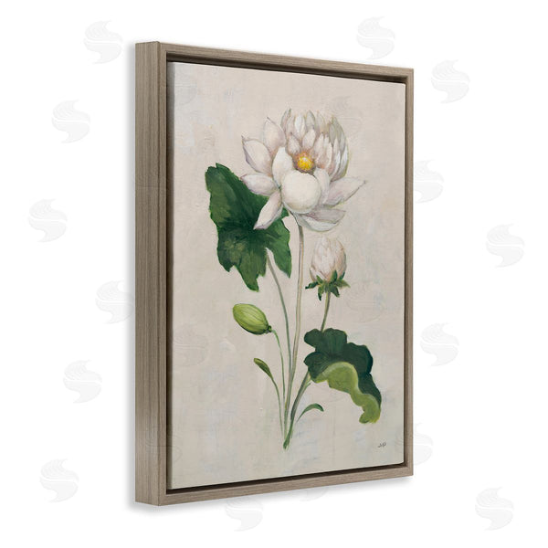 Stupell Industries Julia Purinton | Graceful Budding Lily