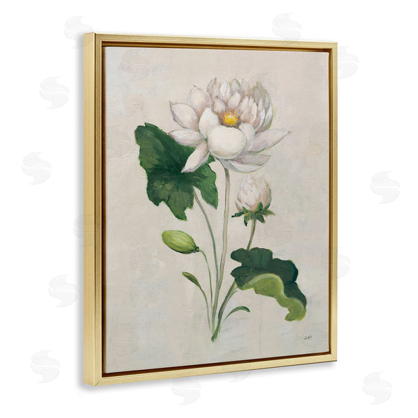Stupell Industries Julia Purinton | Graceful Budding Lily