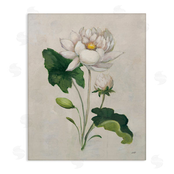 stupell industries Julia Purinton | Graceful Budding Lily