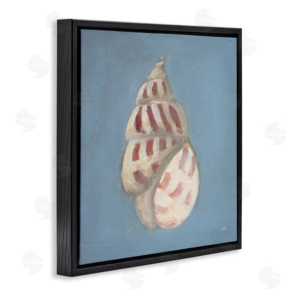 Stupell Industries Julia Purinton | Soft Sea Cowrie Shell