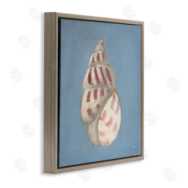 Stupell Industries Julia Purinton | Soft Sea Cowrie Shell
