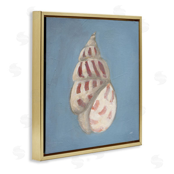 Stupell Industries Julia Purinton | Soft Sea Cowrie Shell