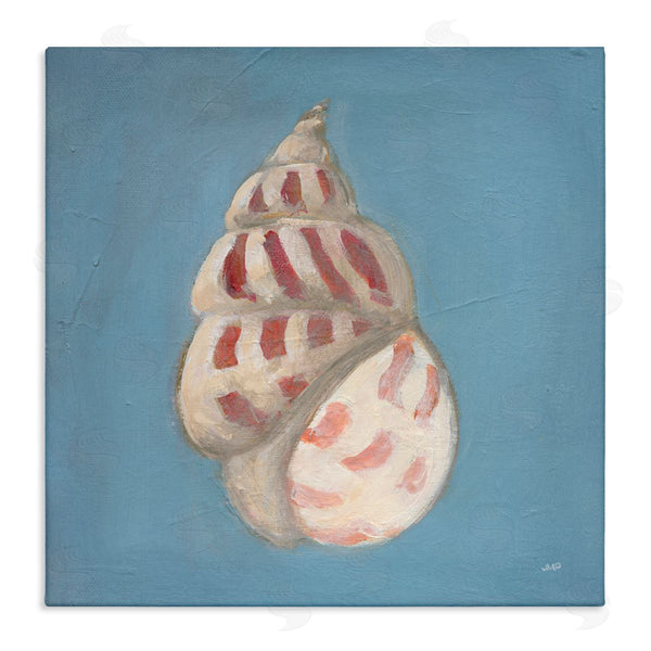 stupell industries Julia Purinton | Soft Sea Cowrie Shell