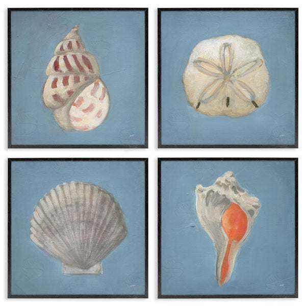 Stupell Industries Julia Purinton | Soft Sea Shell Collection Wall Art