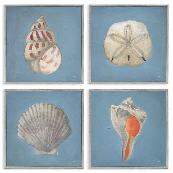 Stupell Industries Julia Purinton | Soft Sea Shell Collection Wall Art