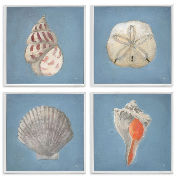 Stupell Industries Julia Purinton | Soft Sea Shell Collection Wall Art