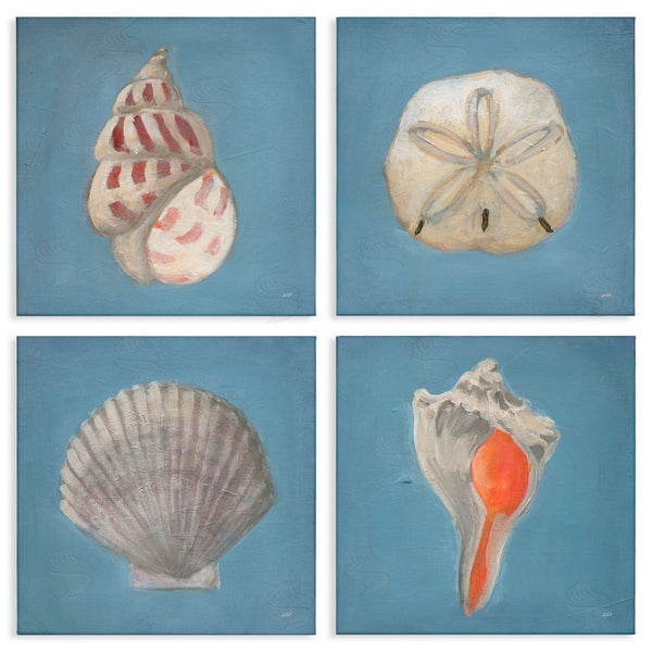 stupell industries Julia Purinton | Soft Sea Shell Collection Wall Art