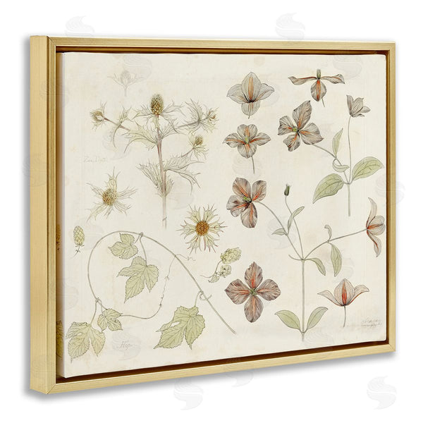 Stupell Industries Julie De Graag | Nature Botanical Study