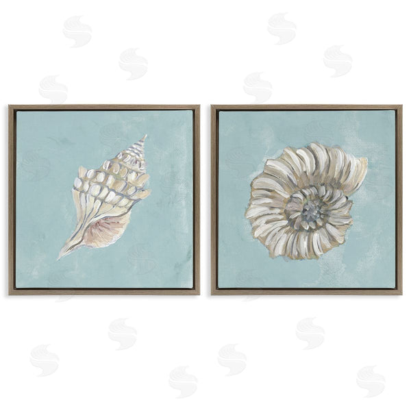 Stupell Industries Julie DeRice | Nautilus And Conch Seashells Wall Art