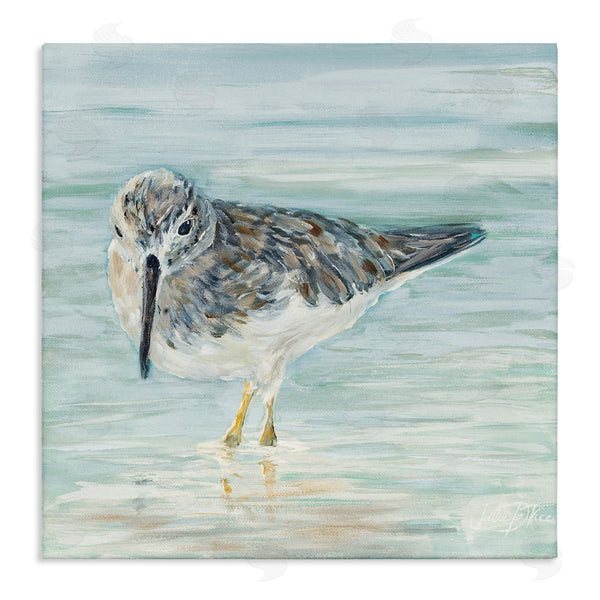 stupell industries Julie DeRice | Sandpiper on Shallow Shore