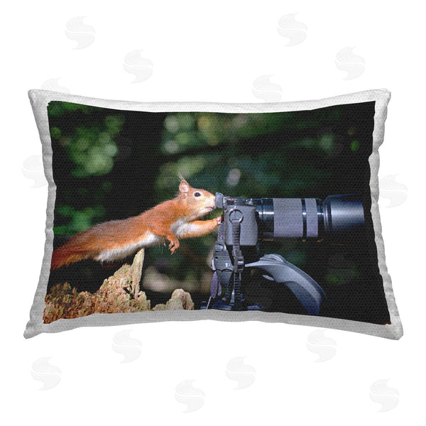Stupell Industries Julie Hunt | Funny Photographer Squirrel