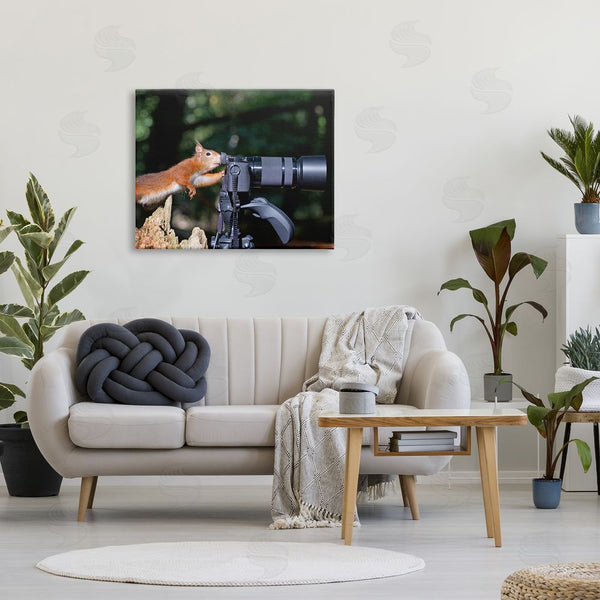 Stupell Industries Julie Hunt | Funny Squirrel Photographer Wall Art