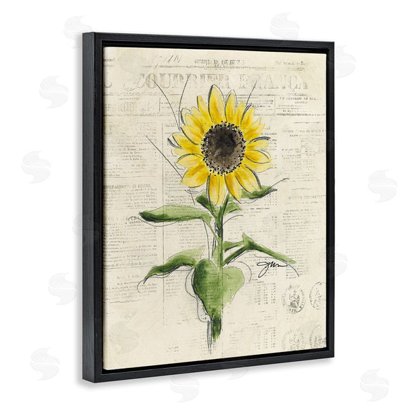 Stupell Industries Julie Norkus | Vintage Sunflower Painting