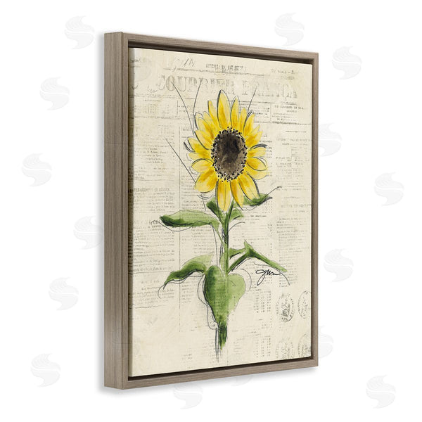 Stupell Industries Julie Norkus | Vintage Sunflower Painting