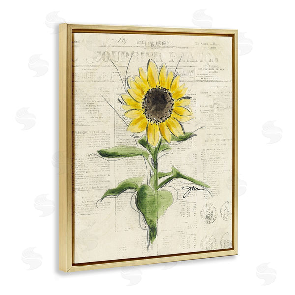 Stupell Industries Julie Norkus | Vintage Sunflower Painting