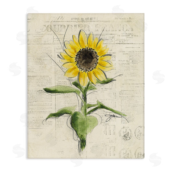 stupell industries Julie Norkus | Vintage Sunflower Painting