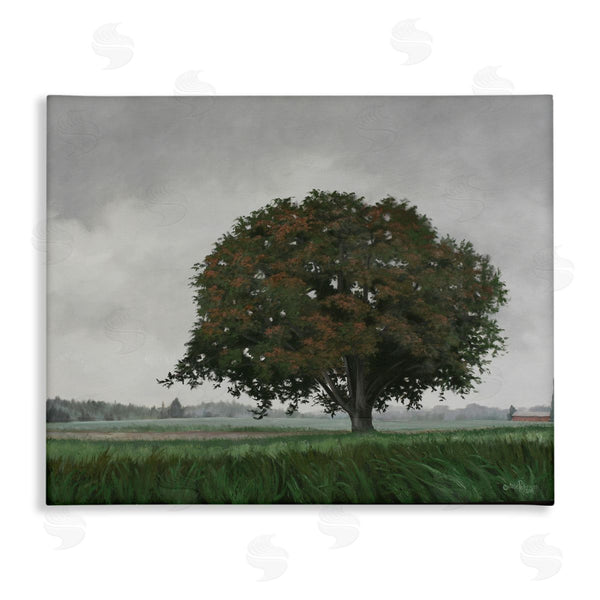 stupell industries Julie Peterson | Atmospheric Lone Tree