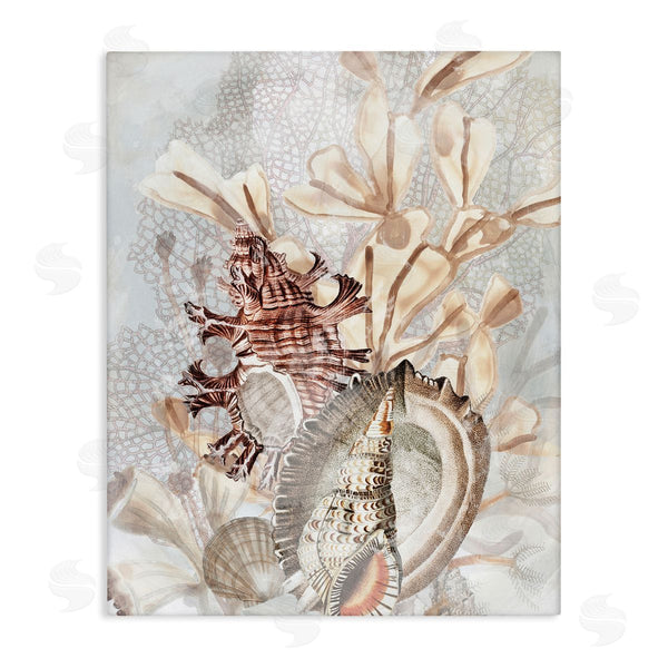 stupell industries June Erica Vess | Beige Mixed Seashells