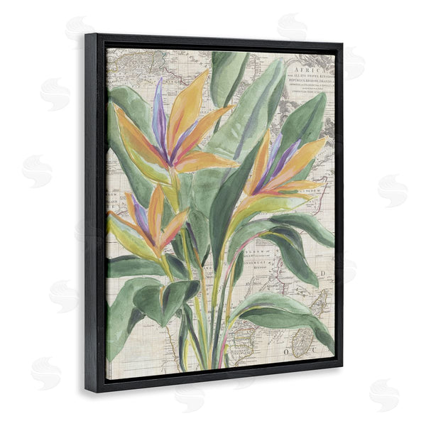Stupell Industries June Erica Vess | Bird Of Paradise Over Map