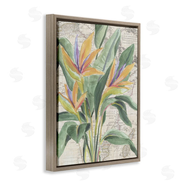 Stupell Industries June Erica Vess | Bird Of Paradise Over Map