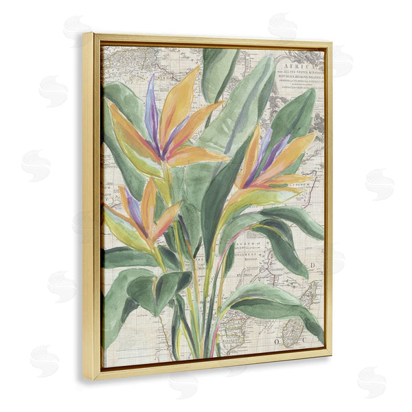 Stupell Industries June Erica Vess | Bird Of Paradise Over Map