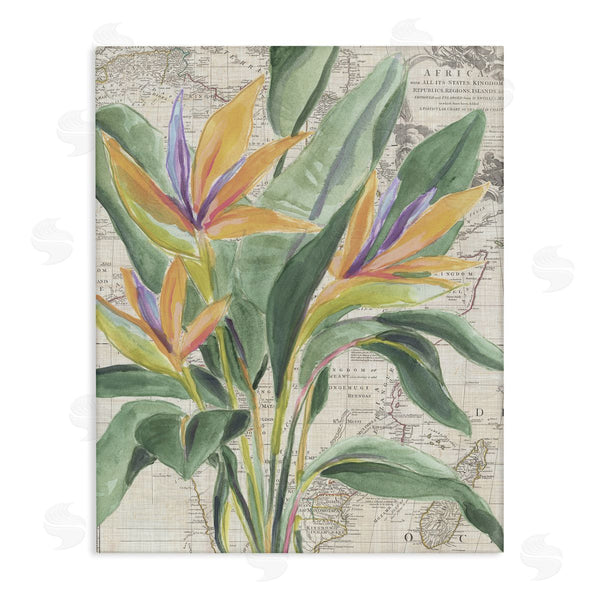 stupell industries June Erica Vess | Bird of Paradise over Map