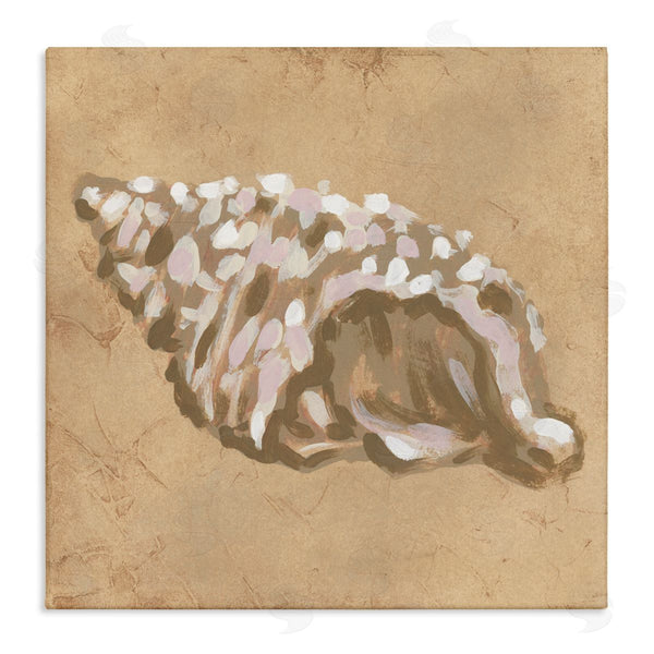 stupell industries June Erica Vess | Earth Tone Conch