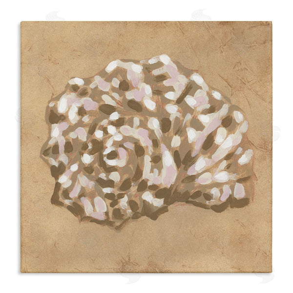 stupell industries June Erica Vess | Earthy Tone Seashell