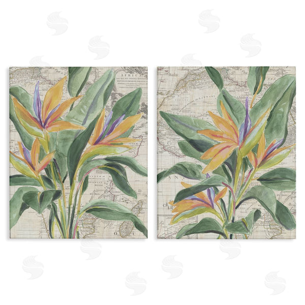 stupell industries June Erica Vess | Flowers over Vintage Map