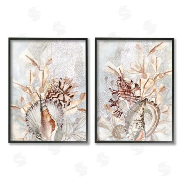 Stupell Industries June Erica Vess | Grey & Beige Sea Life