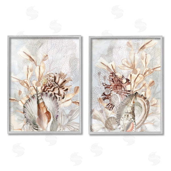 Stupell Industries June Erica Vess | Grey & Beige Sea Life