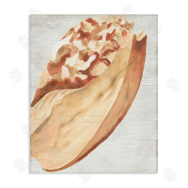 stupell industries June Erica Vess | Rustic Beige Shell