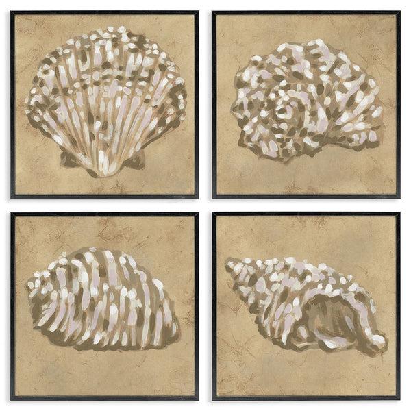 Stupell Industries June Erica Vess | Seashells In Earth Tones Wall Art
