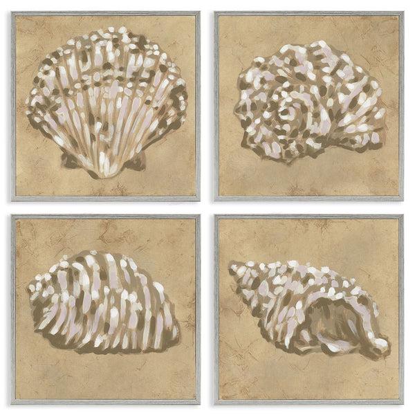 Stupell Industries June Erica Vess | Seashells In Earth Tones Wall Art