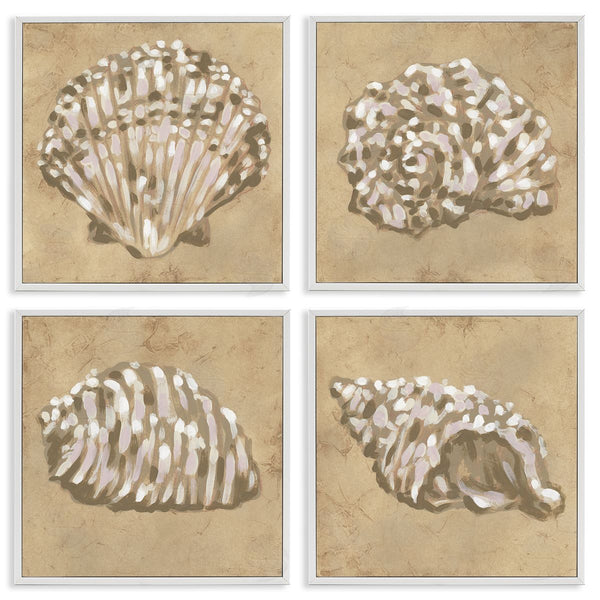 Stupell Industries June Erica Vess | Seashells In Earth Tones Wall Art