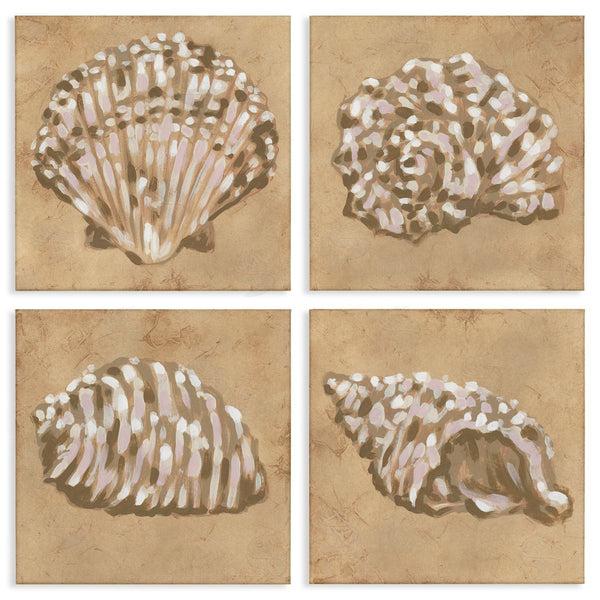 stupell industries June Erica Vess | Seashells in Earth Tones Wall Art