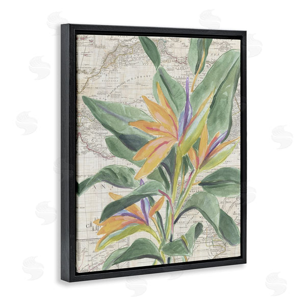 Stupell Industries June Erica Vess | Tropical Flower Over Map