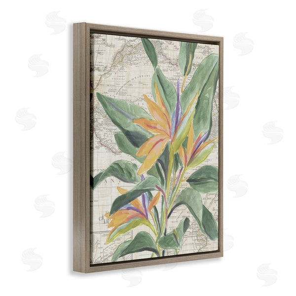 Stupell Industries June Erica Vess | Tropical Flower Over Map