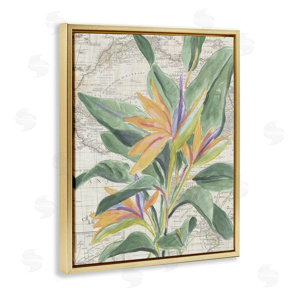 Stupell Industries June Erica Vess | Tropical Flower Over Map