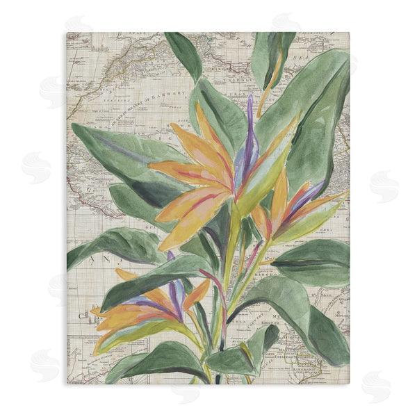 stupell industries June Erica Vess | Tropical Flower over Map