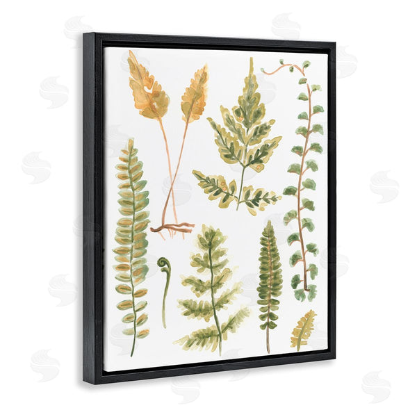 Stupell Industries June Erica Vess | Varied Fern Leaves