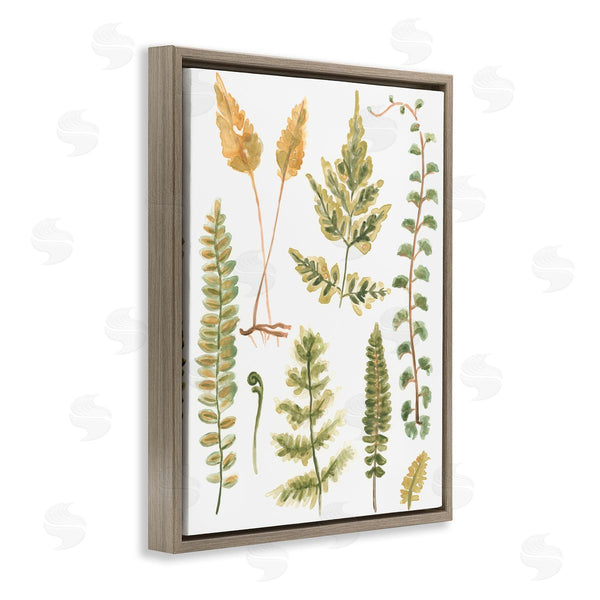 Stupell Industries June Erica Vess | Varied Fern Leaves