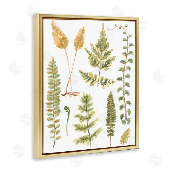 Stupell Industries June Erica Vess | Varied Fern Leaves
