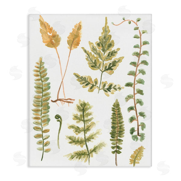stupell industries June Erica Vess | Varied Fern Leaves