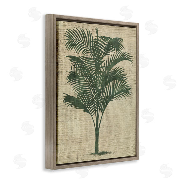 Stupell Industries June Erica Vess | Vintage Palm Plant