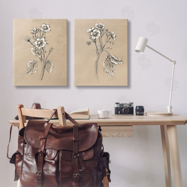 Stupell Industries June Erica Vess | Vintage Sketch Botanical Wall Art